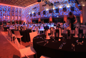 Wappenhalle Party